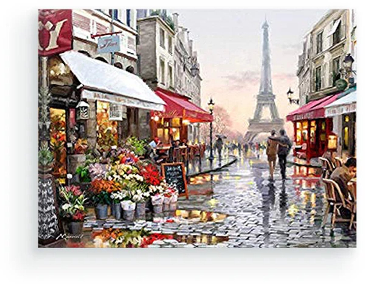 Schilderenopnummers.com® Parijs - 50x40 cm – Schilderen op nummer -Schilderen op nummer volwassenen