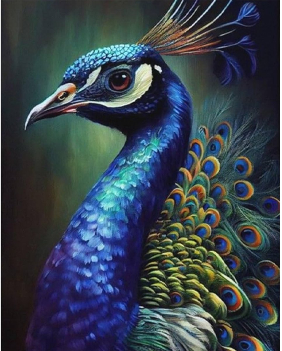 Schilderenopnummers.com® Peacock - 40x50 cm – Schilderen op nummer - Schilderen op nummer volwassenen