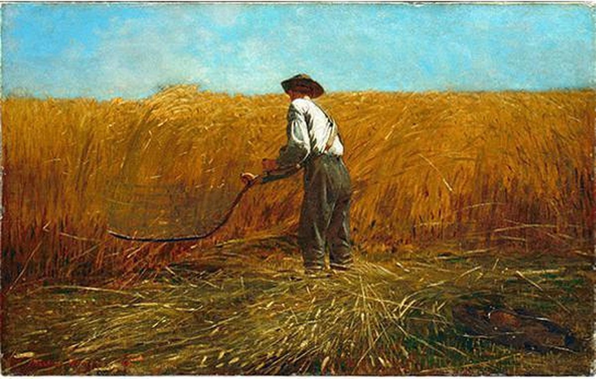 Schilderenopnummers.com® The Veteran in a New Field - Winslow Homer - 50x40 cm – Schilderen op nummer -Schilderen op nummer volwassenen