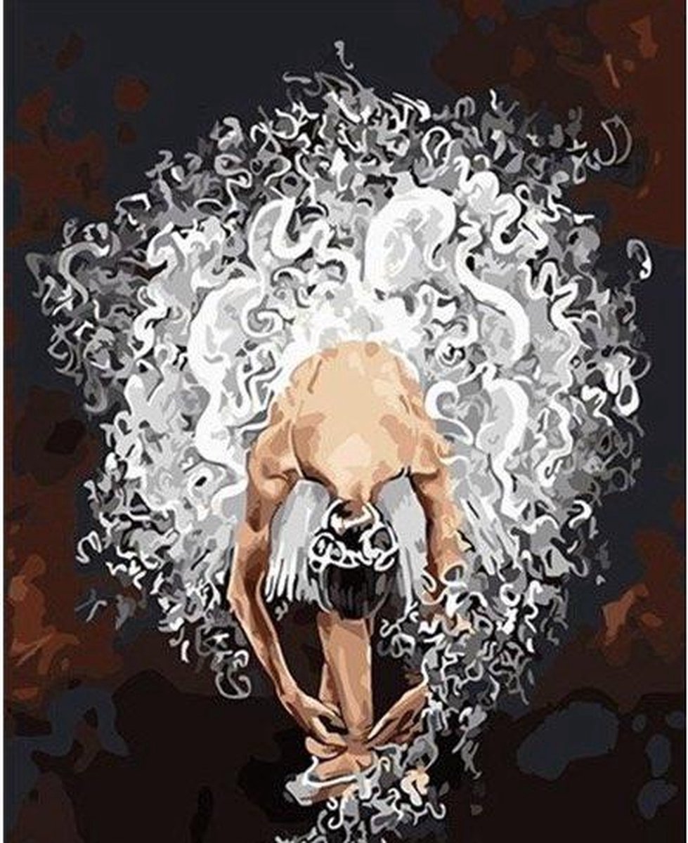 Schilderenopnummers.com® Zwanenmeer - 50x40 cm – Schilderen op nummer -Schilderen op nummer volwassenen