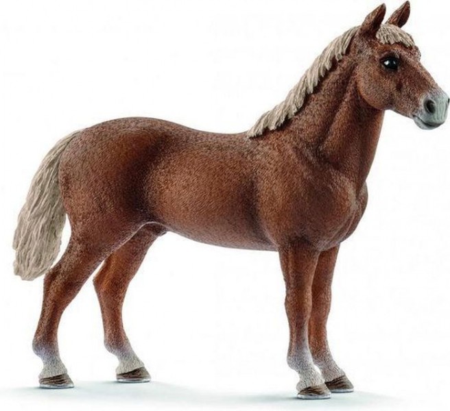 13869 Schleich Morgan Hengst
