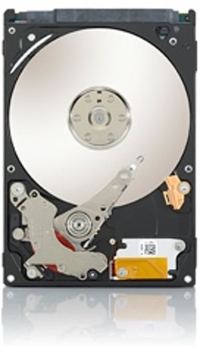 Seagate Video 2.5 - Interne harde schijf - 500 GB