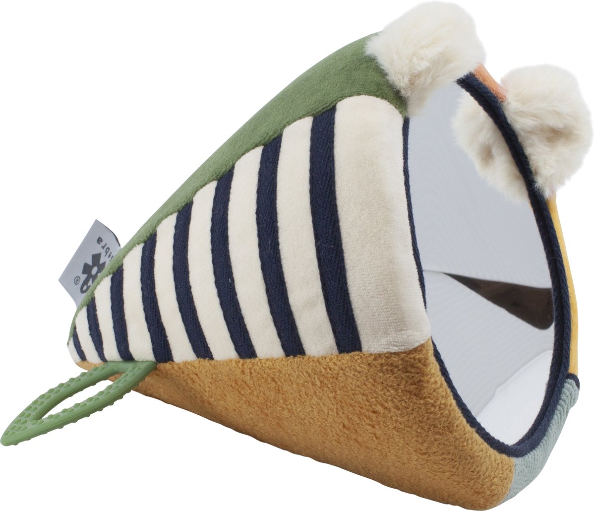 Sebra activiteiten spiegel wildlife