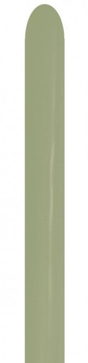 Modelleerballonnen - Sempertex - 260 - Fashion Eucalyptus 027 - 50 stuks