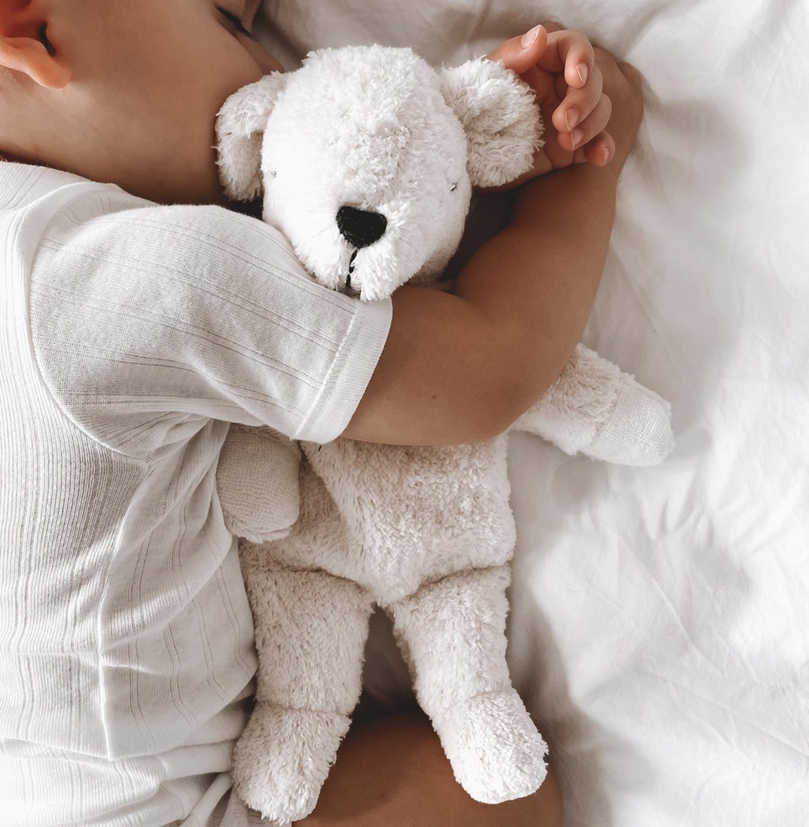 Senger Naturwelt warmteknuffel ijsbeer small