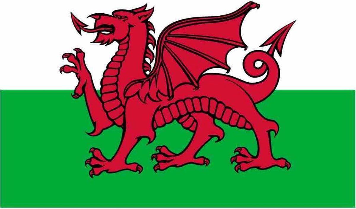 Senvi Printwear - Flag Wales - Grote Wales vlag - Gemaakt Van 100% Polyester - UV & Weerbestendig - Met Versterkte Mastrand - Messing Ogen - 90x150 CM - Fair Working Conditions