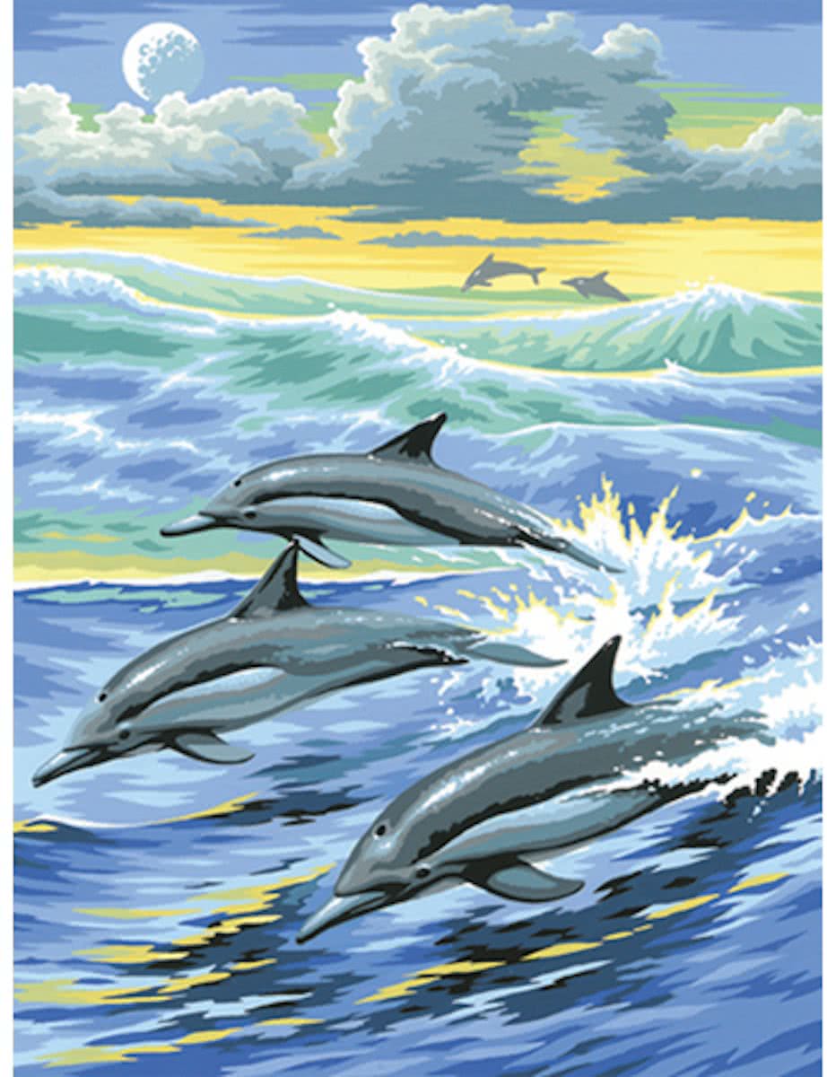 Schilderen Op Nummer - Dolfijn