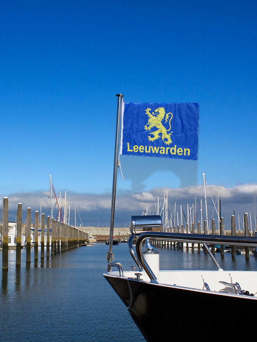 Vlag Leeuwarden 70 x 100 cm