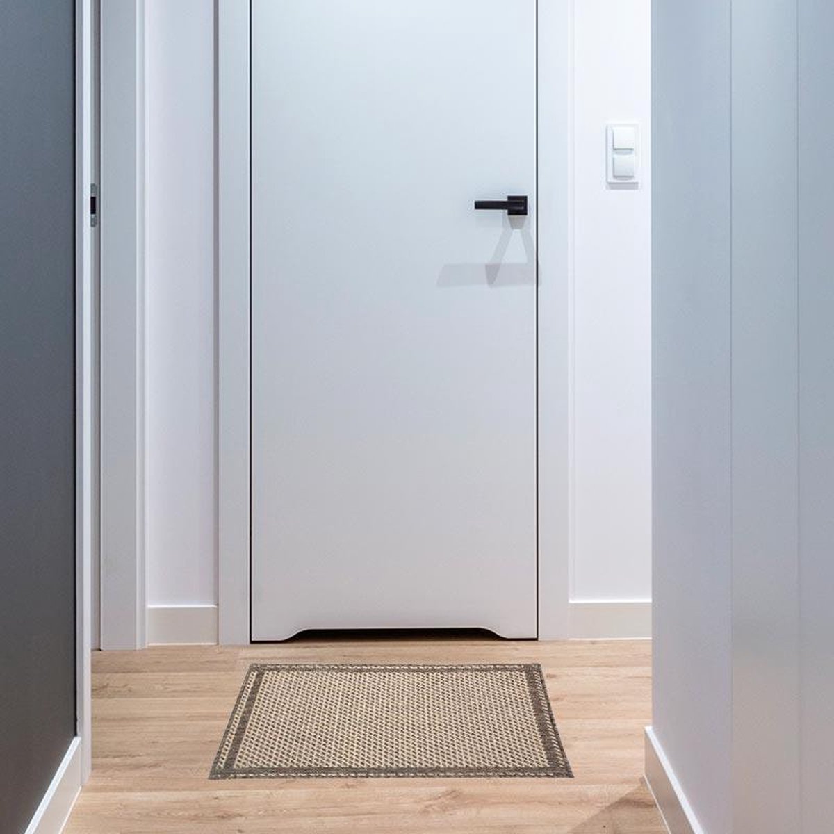 polypropyleentapijt rasterpatroon 50x80 cm Mol