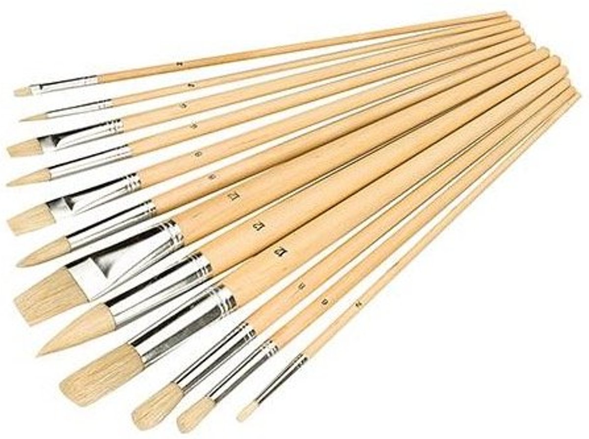 12-Delige Penselen Set