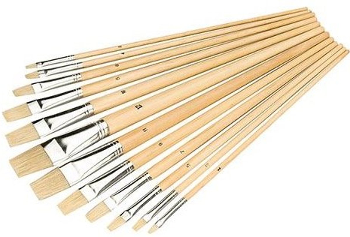 12-delige penselen set Platte punten