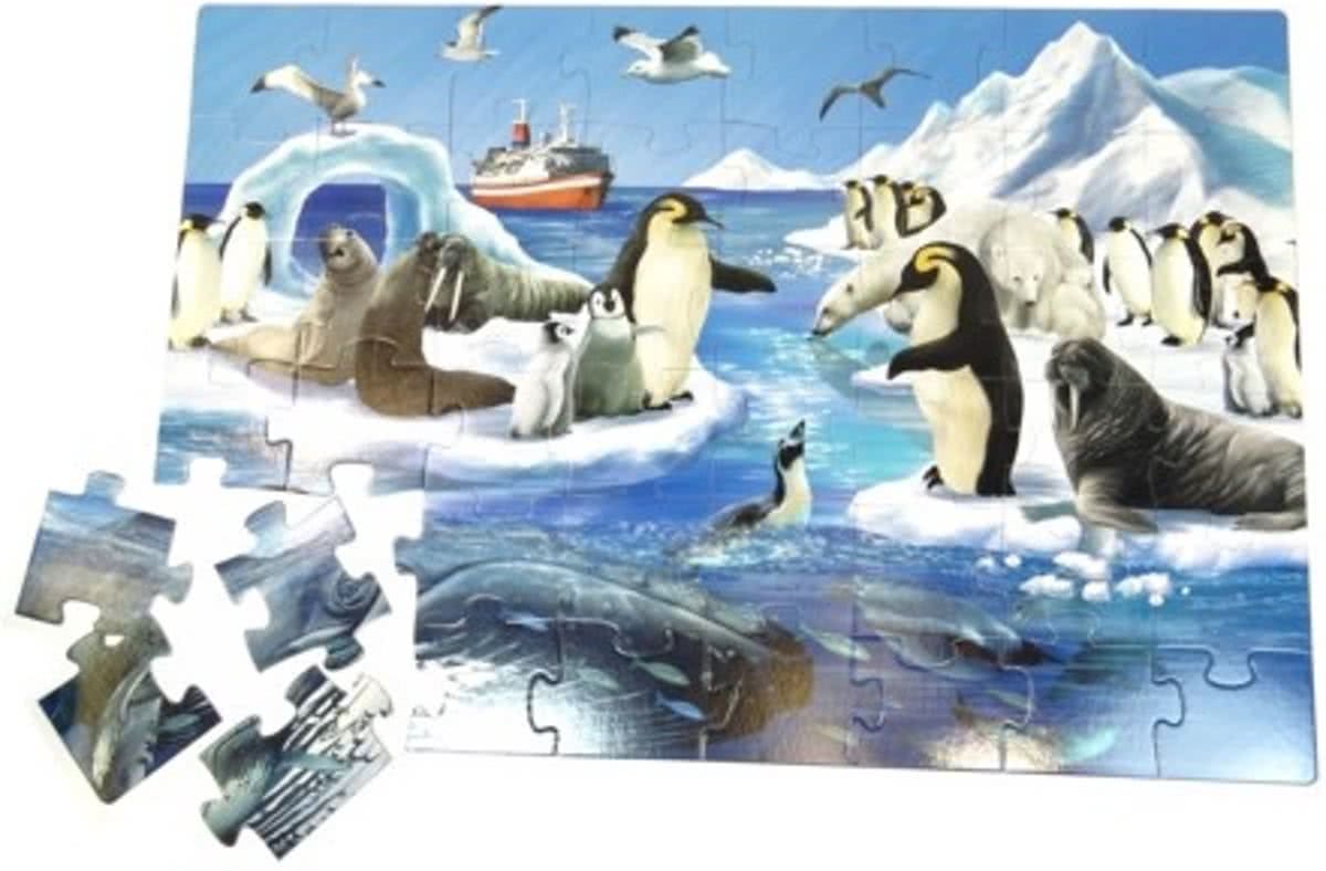 Simply for Kids 36096 Vloerpuzzel Antartica