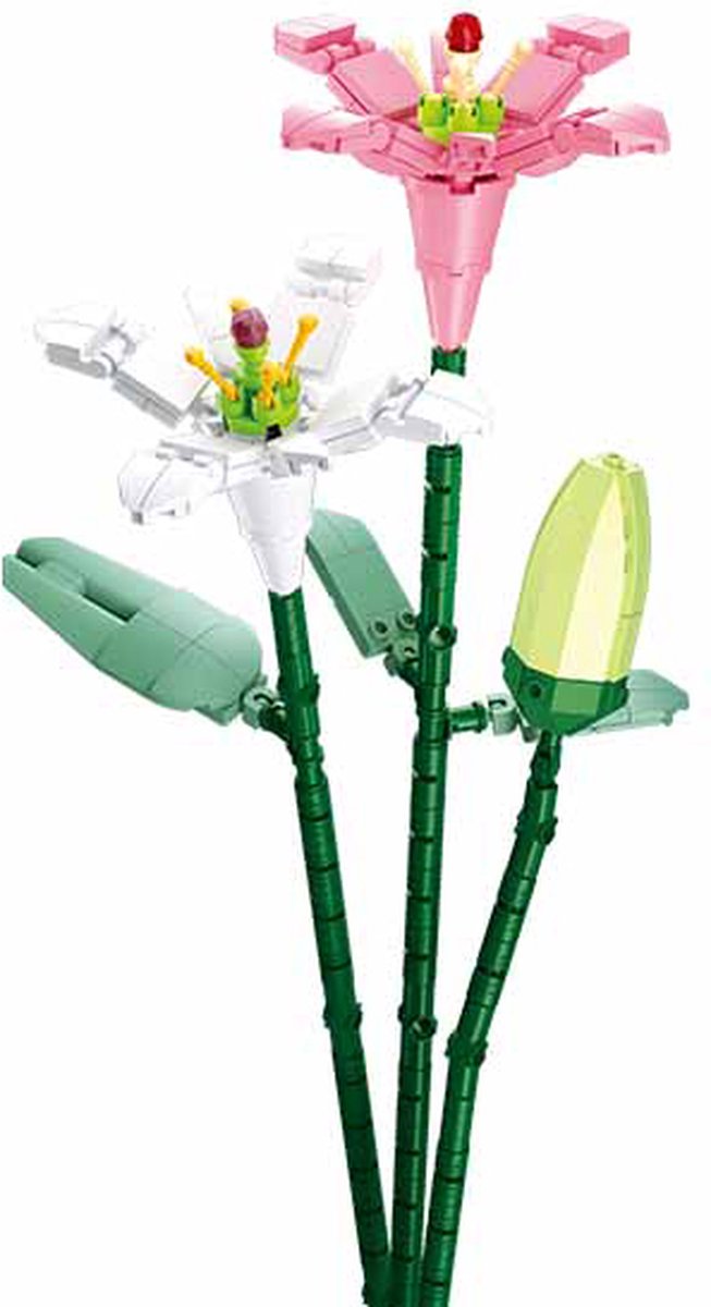 Fresia`s  : 241 stuks (M38-B1101-13)