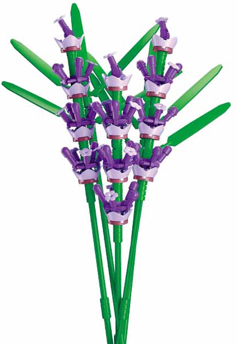 Lavendel  : 258 stuks (M38-B1101-14)