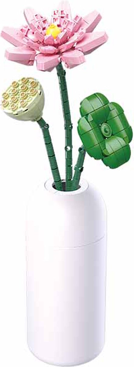 Lotus  : 258 stuks (M38-B1101-06)