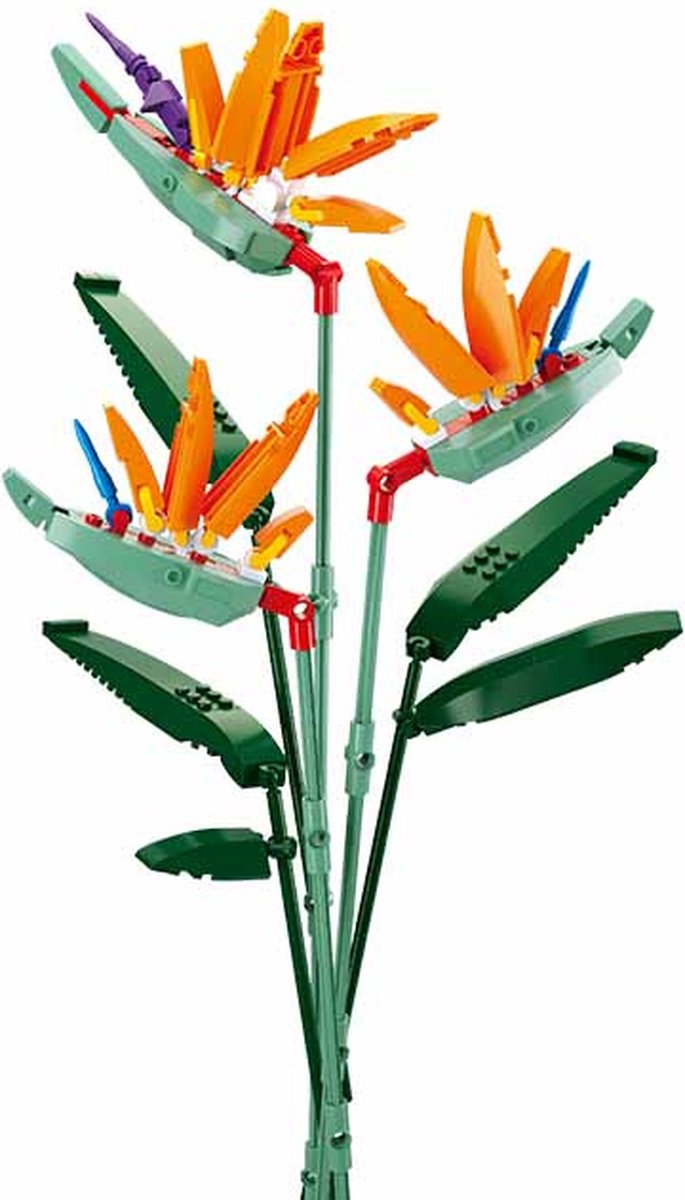   - Flowers Serie - Paradijsvogelbloem - M38-B1121C