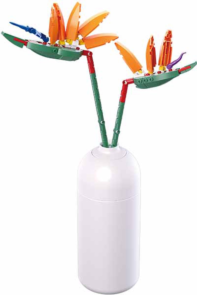   - Strelitzia Reginae Aiton