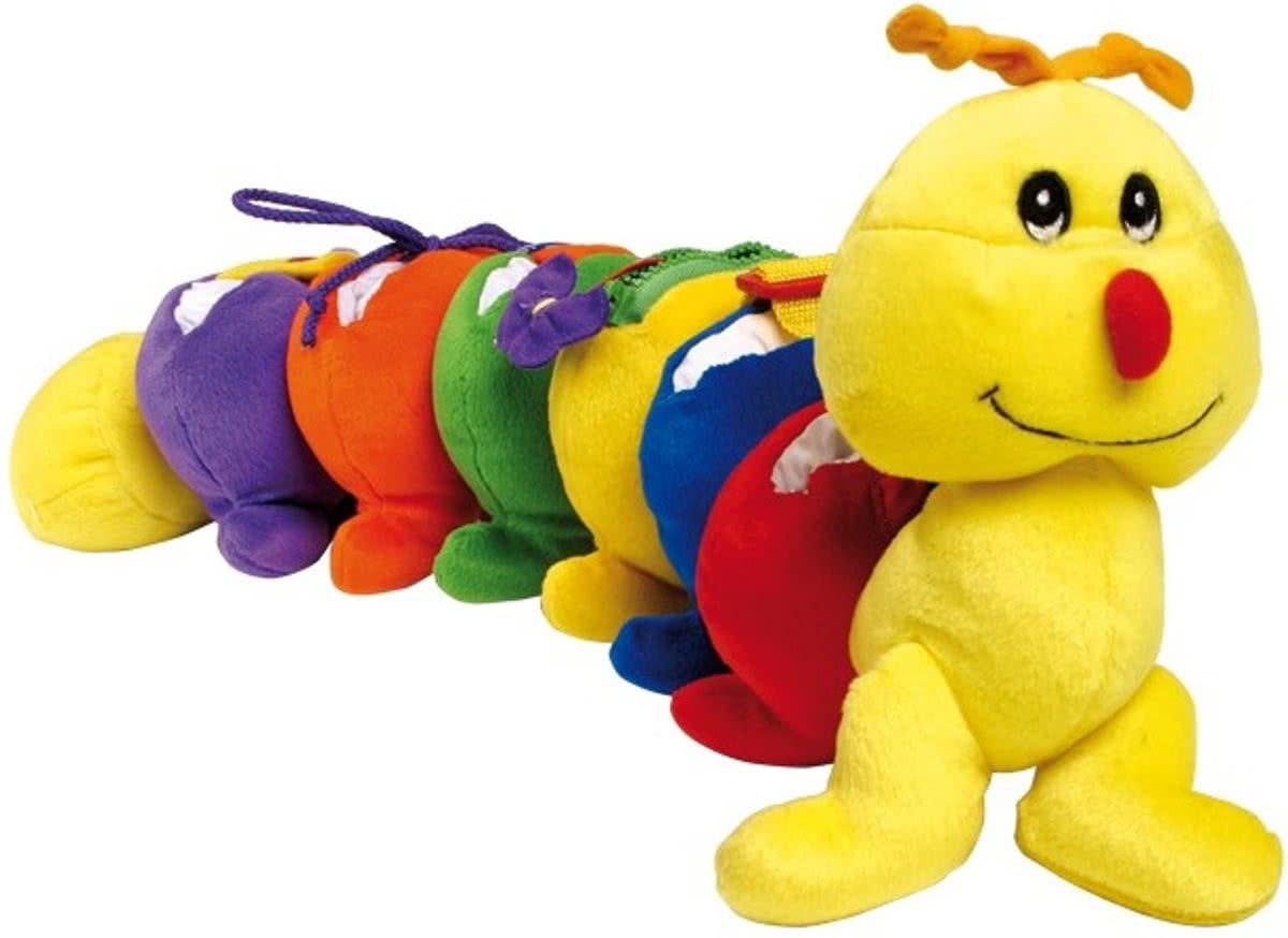 Motoriek Duizendpoot