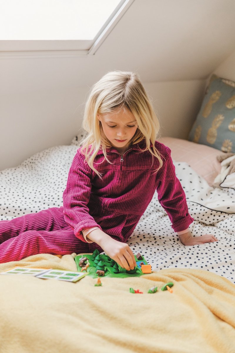 SmartGames - ParcOurs en forêt - 80 défis