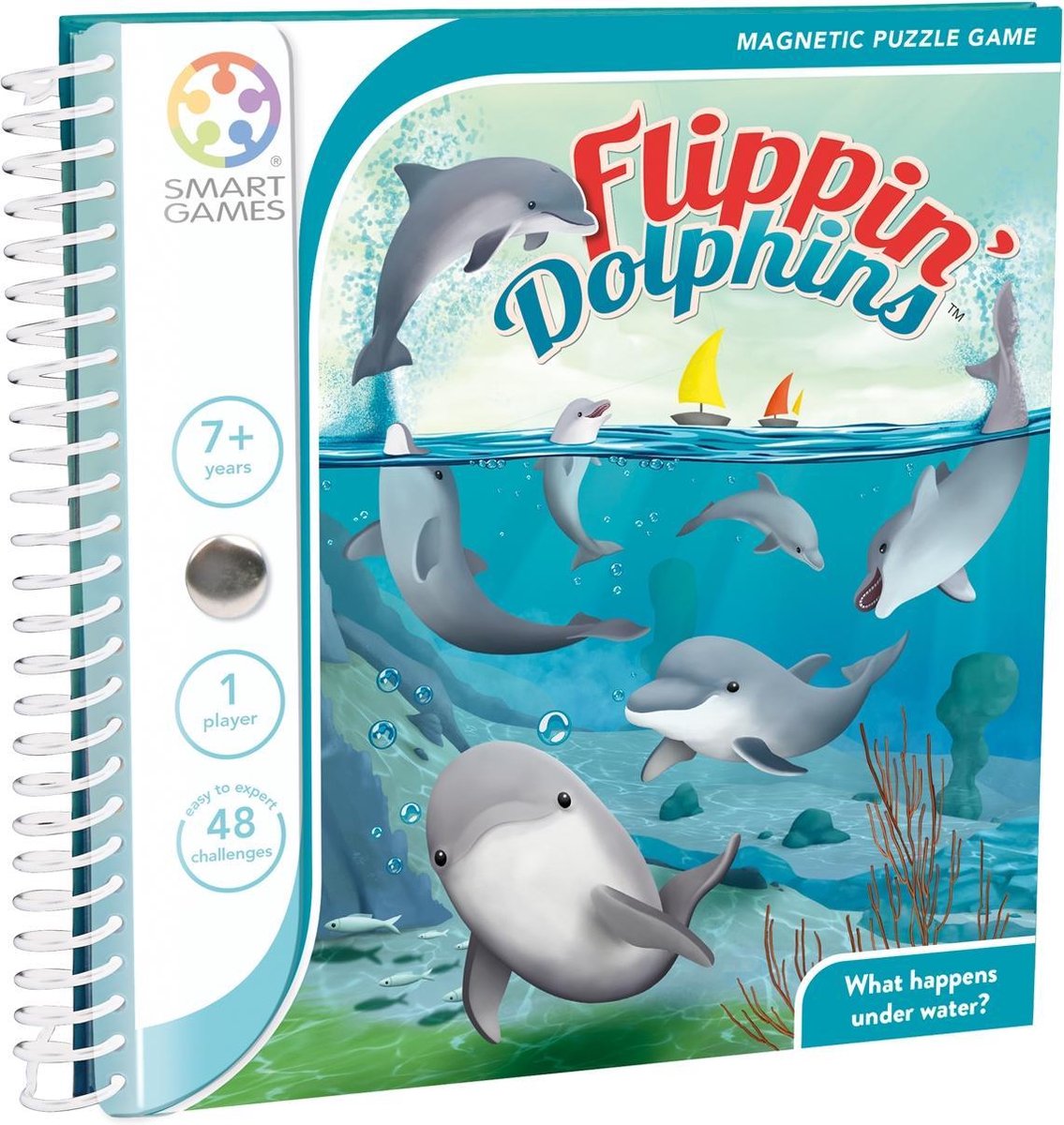   Flippin Dolphins