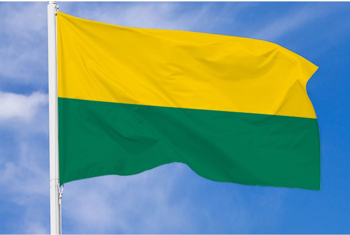 Den Haag Vlag 80x120cm