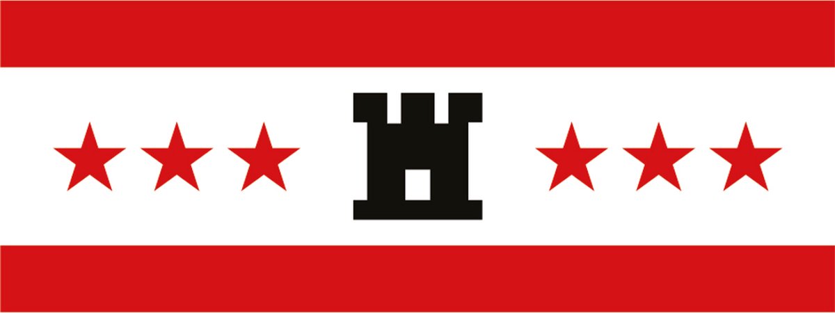 Drentse Vlag 100x150cm