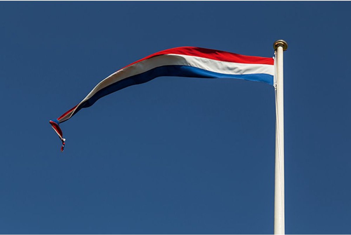 Nederlandse   20x150cm - met stokje