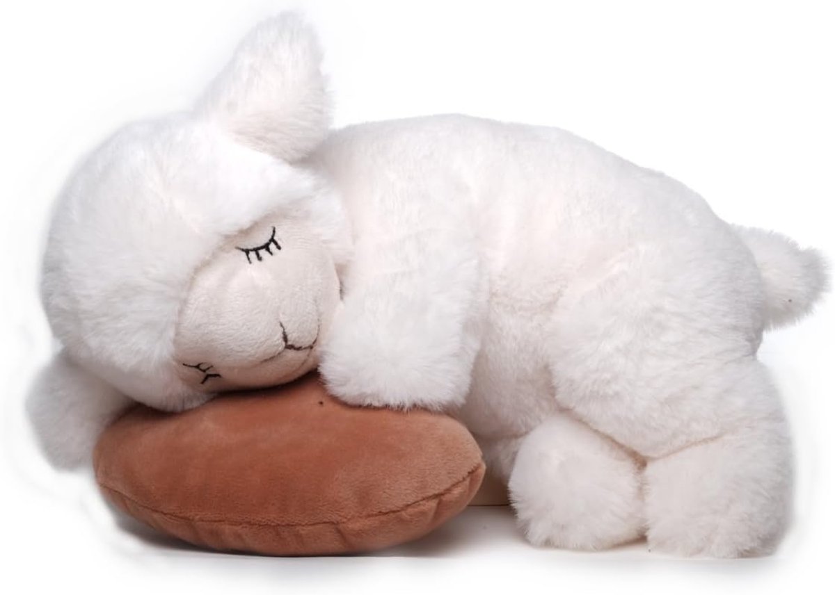 Solene Verzwaringsknuffel - Weighted Stuffed Animal - Verzwaringsknuffel Volwassenen & Kinderen - Zacht Sensorisch Speelgoed 25 cm - Anti-Stress & Ontspannend Kussen - Kalmerend & Knuffelbaar Cadeau Voor Jong & Oud