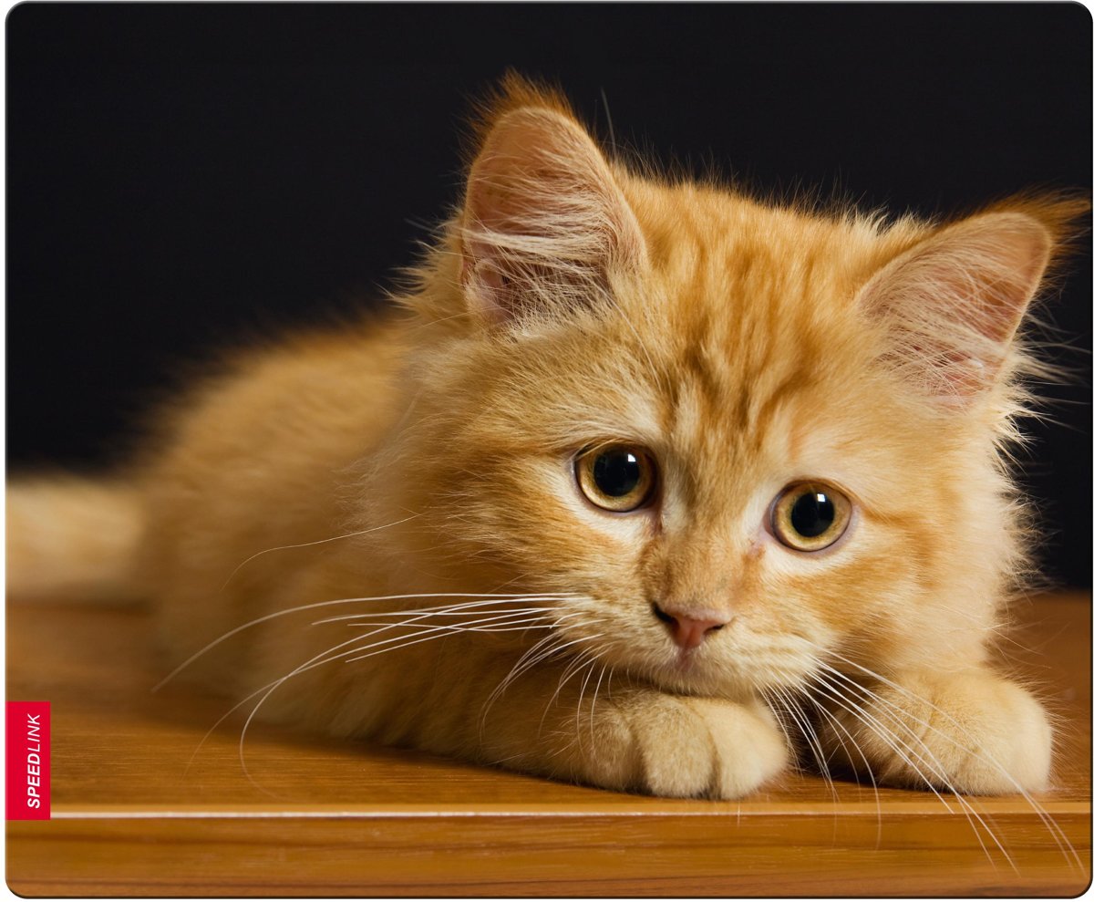 Speedlink SILK muismat Baby Kat