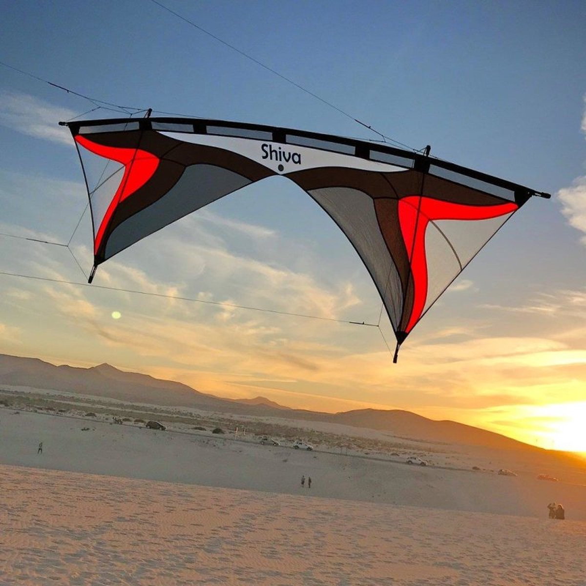 Stuntvlieger Spiderkites Shiva 2024 Charcoal 20073 Zwart 248 x 82 cm