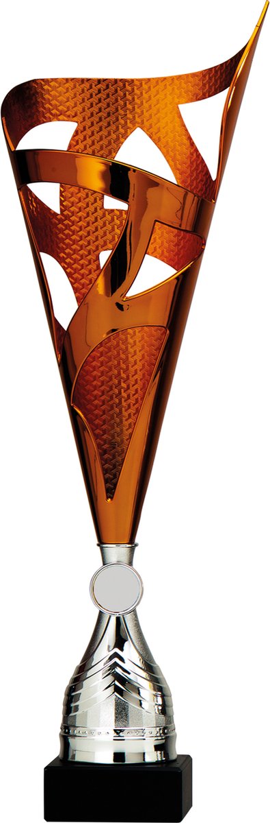 Trofee/beker-brons-kuststof-44 cm x 15 cm