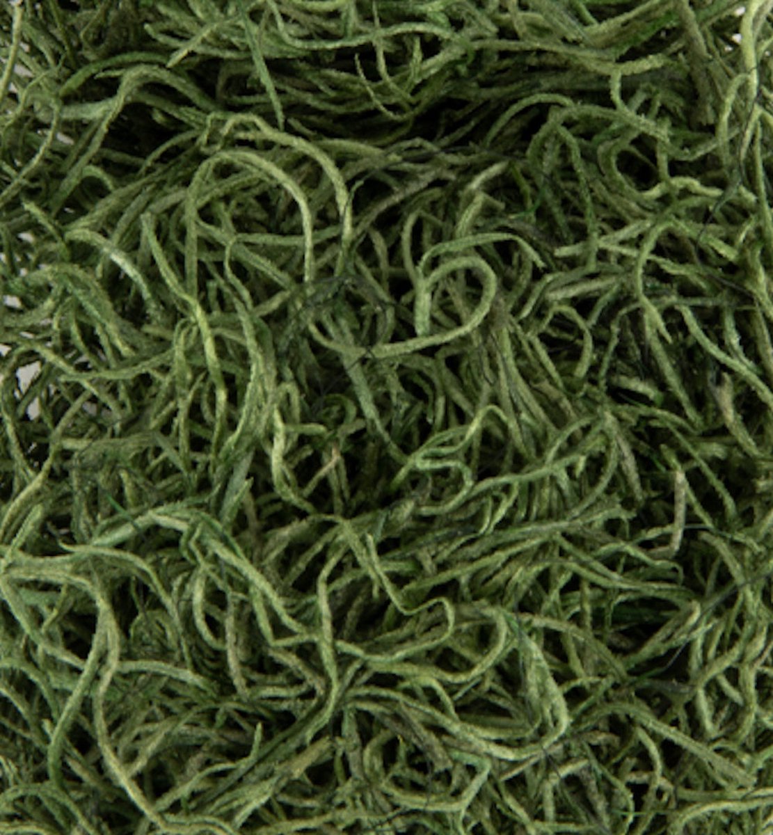 Moss green, 20gr.