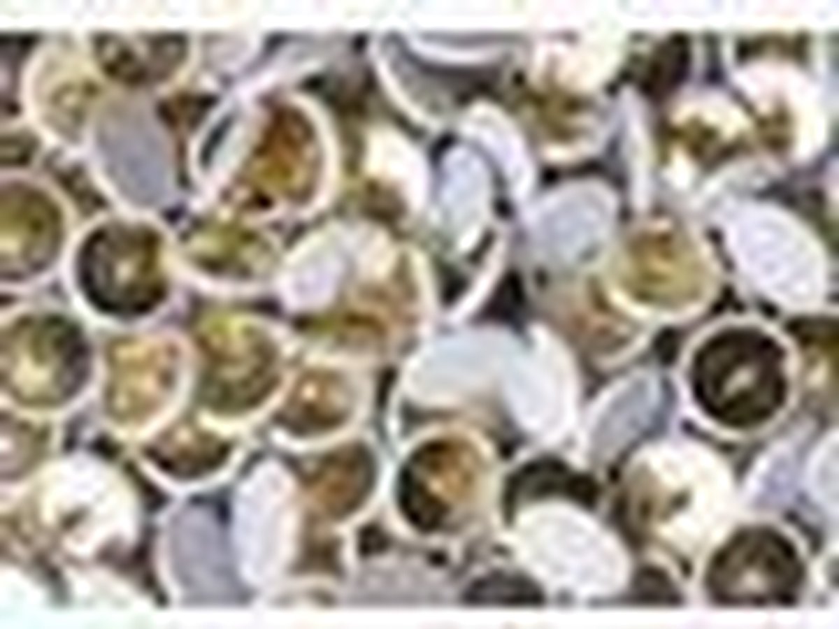 Punaise SPLS wit/pak 120