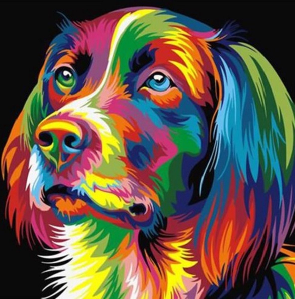 Diamond Painting Hond - 40x30cm - Inclusief Tools - Complete Set - Stipco