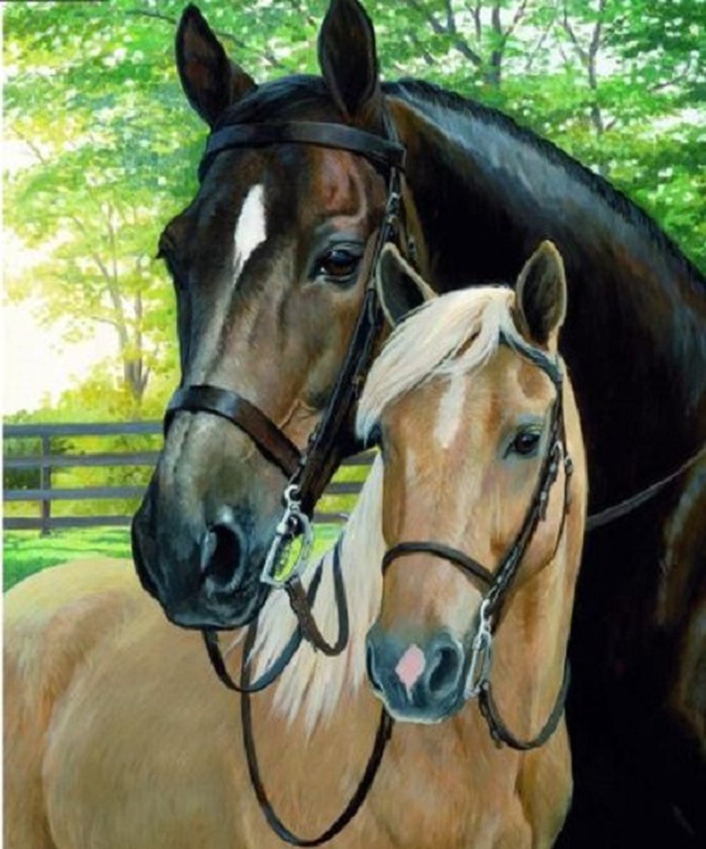 Diamond Painting Knuffelende Paarden - 40x30cm - Complete Set - Inclusief Tools - Stipco