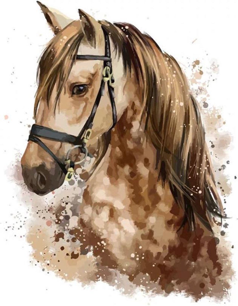 Paint By Numbers - Schilderen op Nummer - Paard - 50x40cm - Volwassenen & Kinderen - Stipco