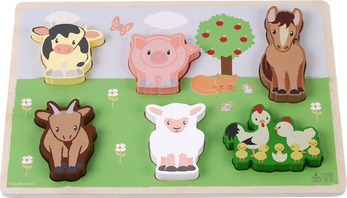 Studio Circus Puzzel