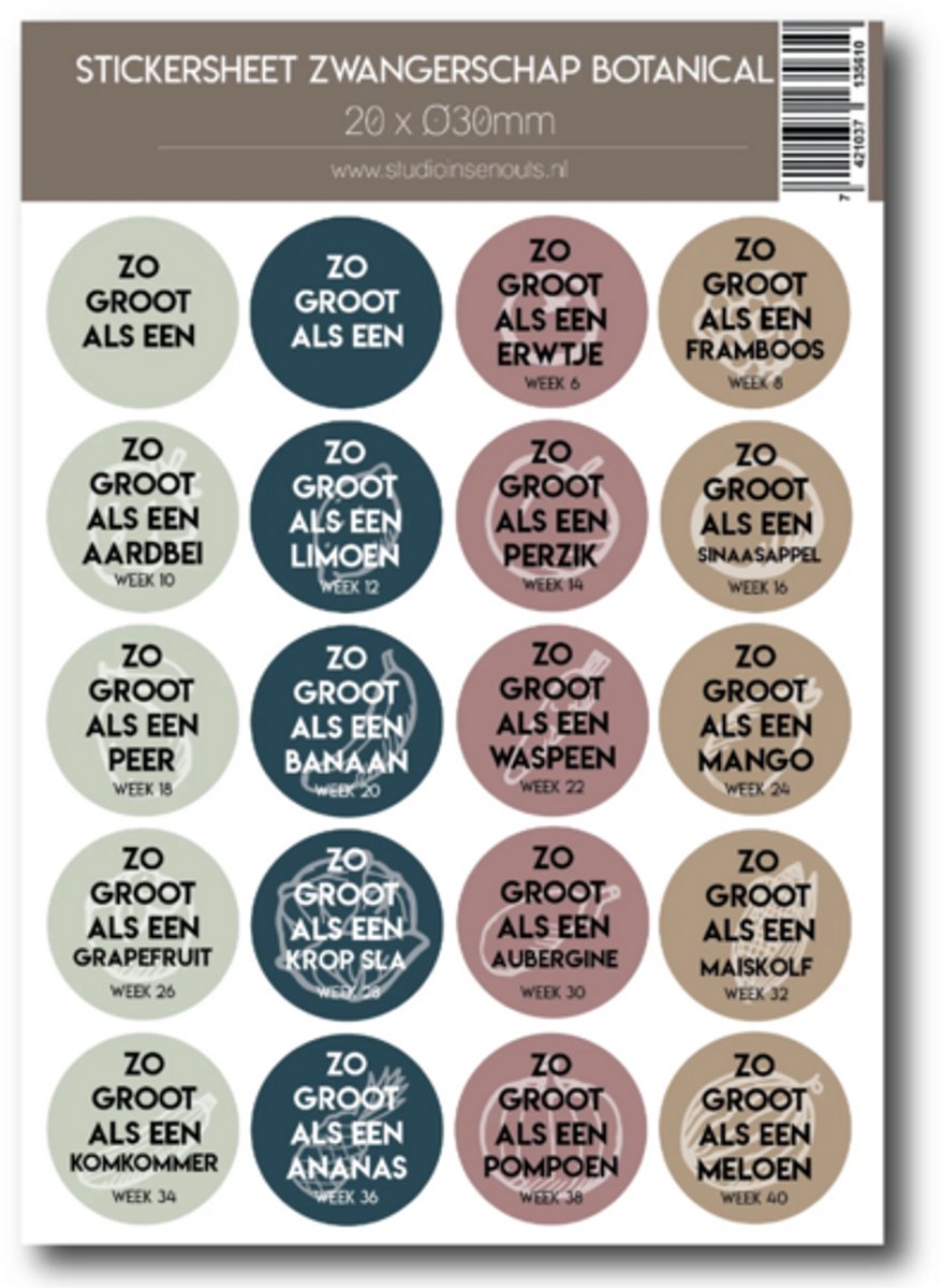 Studio Ins & Outs - Stickervel Zwangerschap Botanical - 20 Ronde Stickers - Zwangerschap Mijlpaalstickers - Baby Grootte Stickers