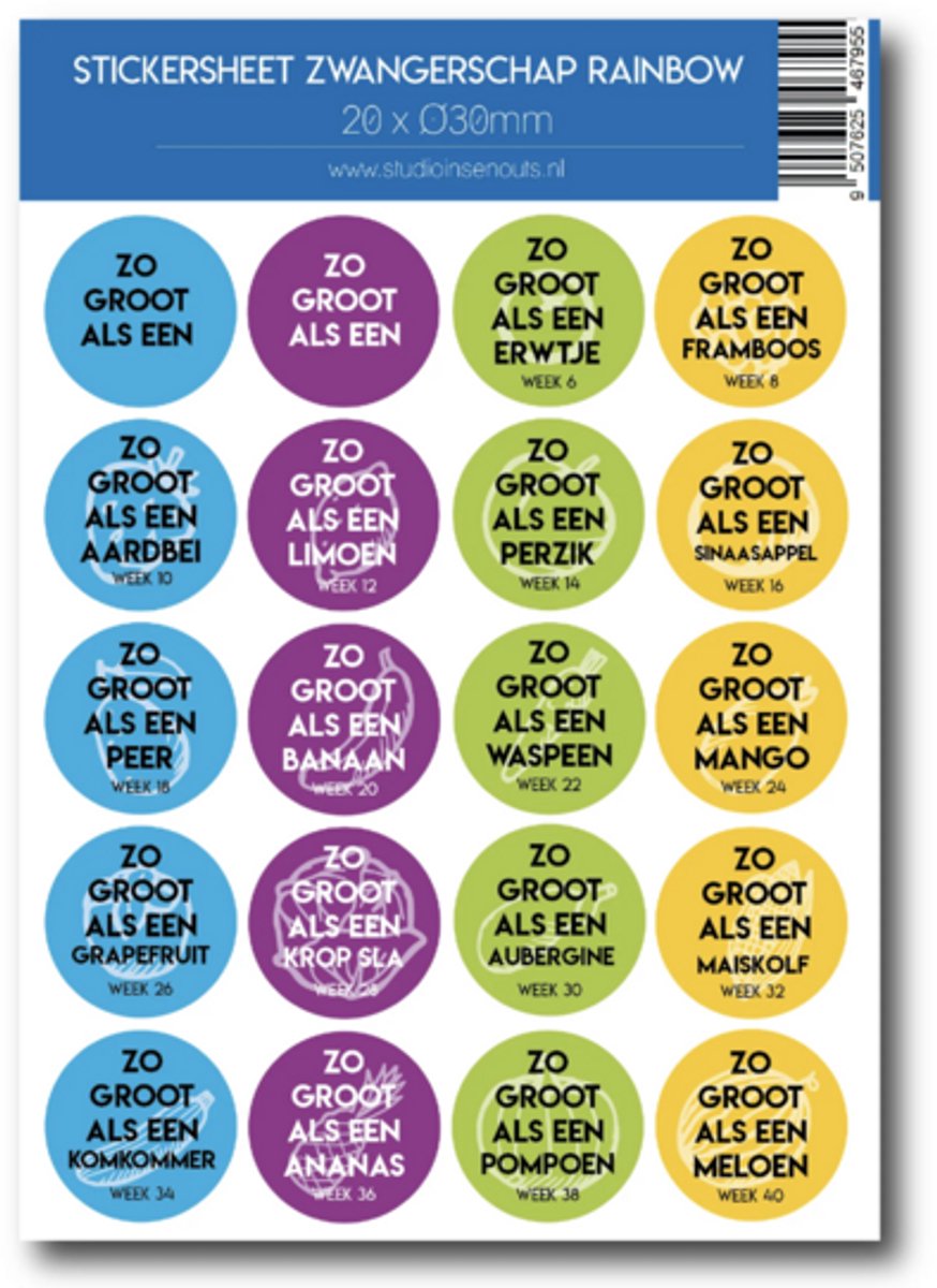 Studio Ins & Outs - Stickervel Zwangerschap Rainbow - 20 Ronde Stickers - Zwangerschap Mijlpaalstickers - Baby Grootte Stickers