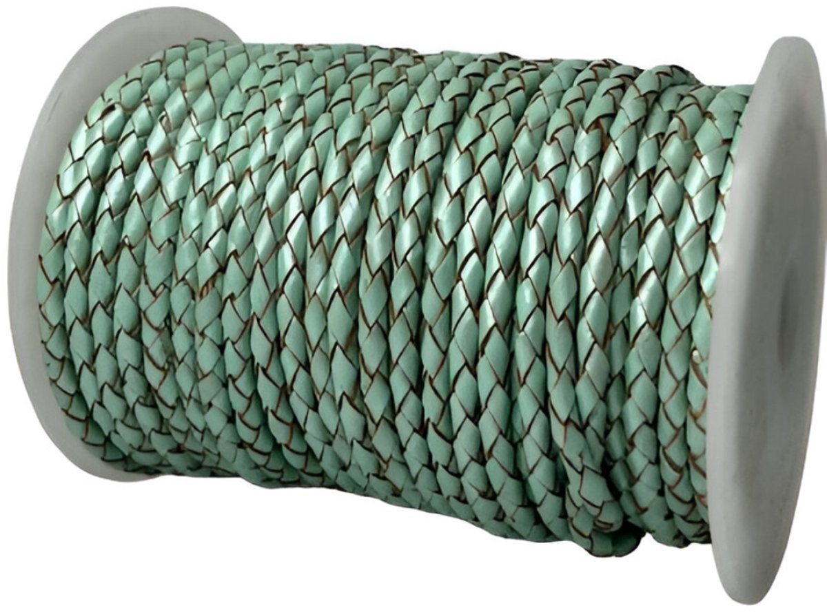 Gevlochten Leren Koord Rond, 10 m x 4 mm - Rond Gevlochten Lederen Koord, Voor Halskettingen, Armbanden, Sieraden, Knutselkralen en Veters (Metallic Licht Blauw)