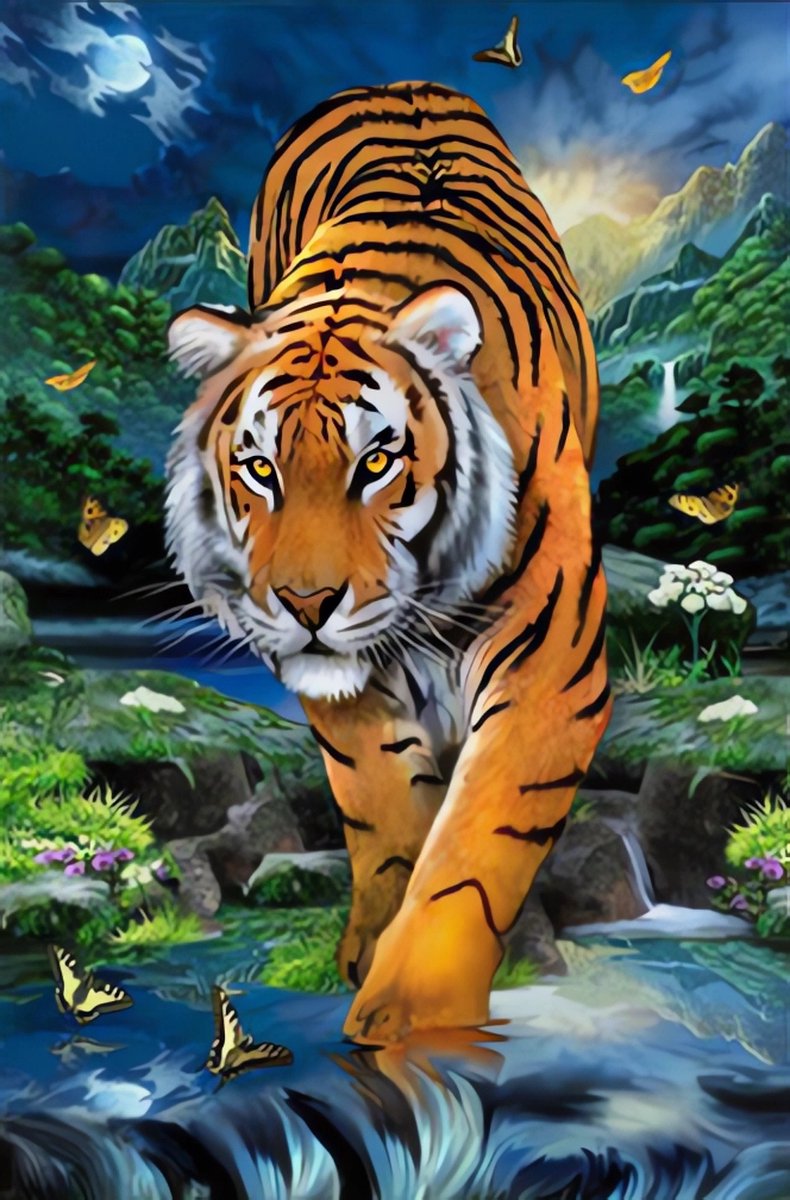 5D Diamond Painting Volwassenen - Tijger - Fotoformaat 50x70cm - Volledige Set – Inclusief Pen Schudbakje Wax Opbergzakjes en Wit Stickers - Ronde steentjes