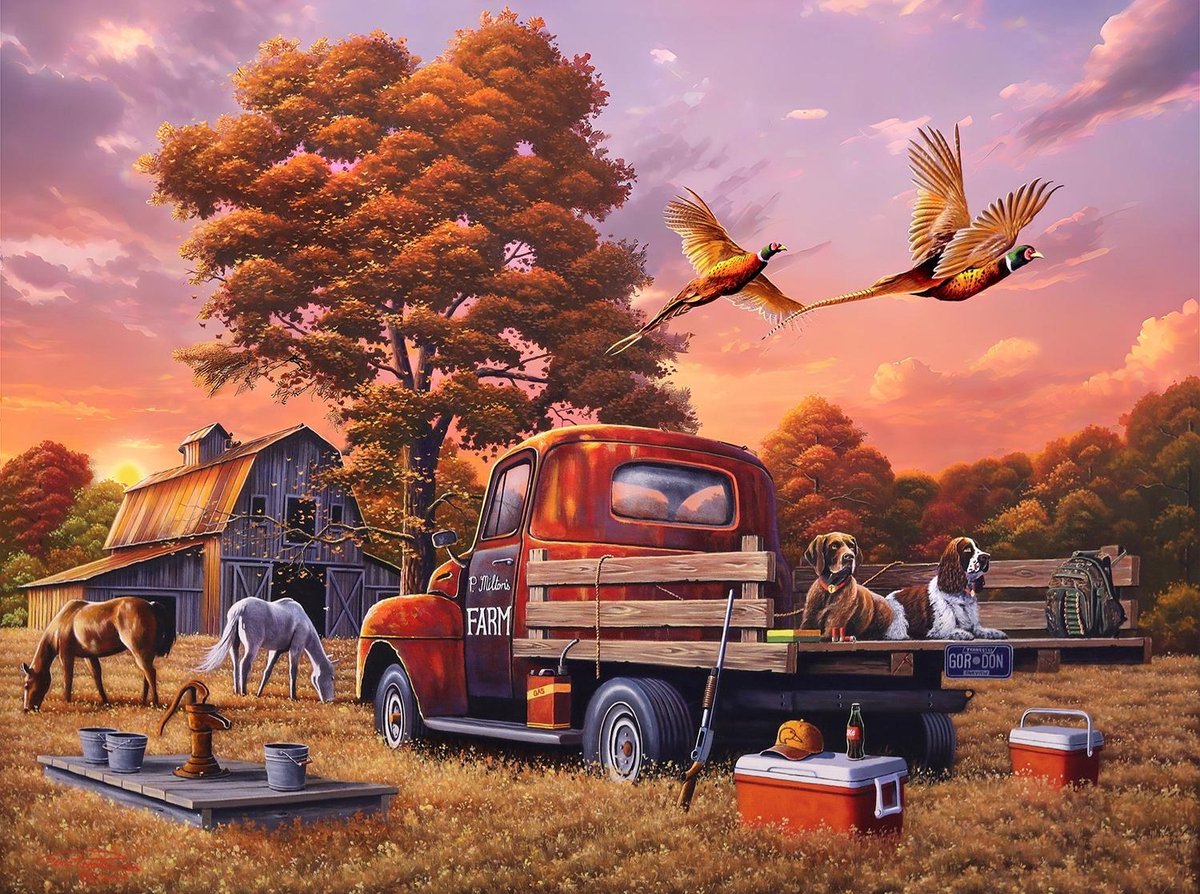 SunsOut puzzel Whats the Point? - 1000 stukjes legpuzzel.