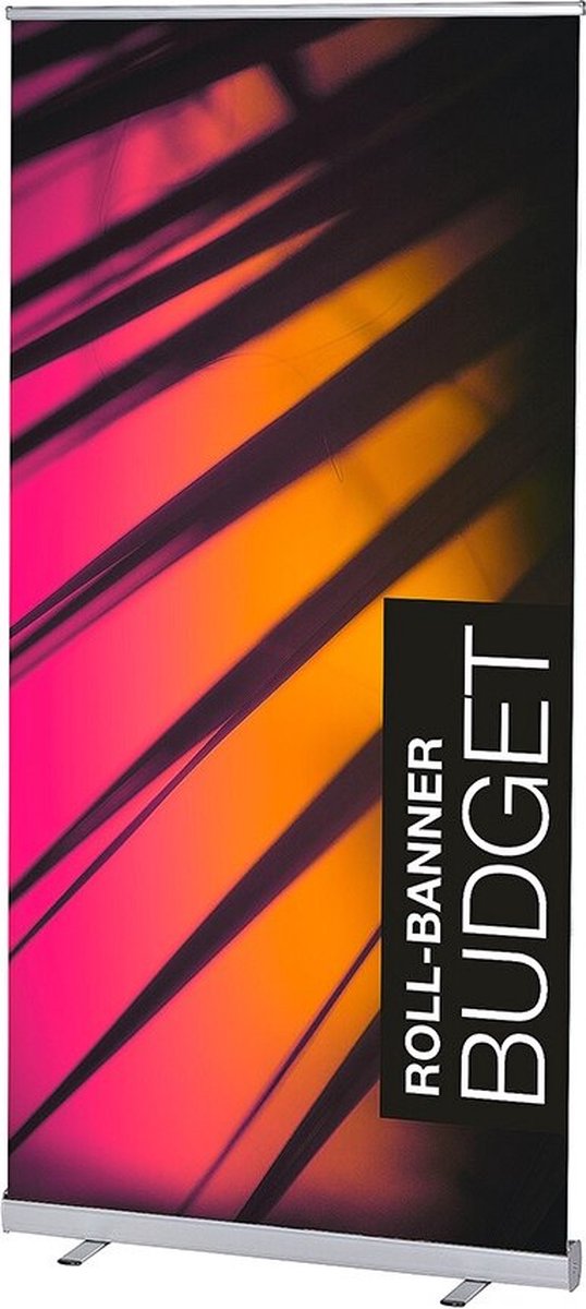 Roll-Banner Budget 100 X 200 cm - Syna RBB100