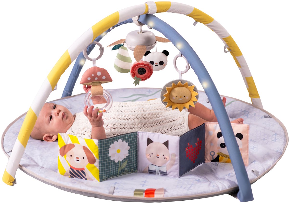 Taf Toys Fantasy Bloom Babygym