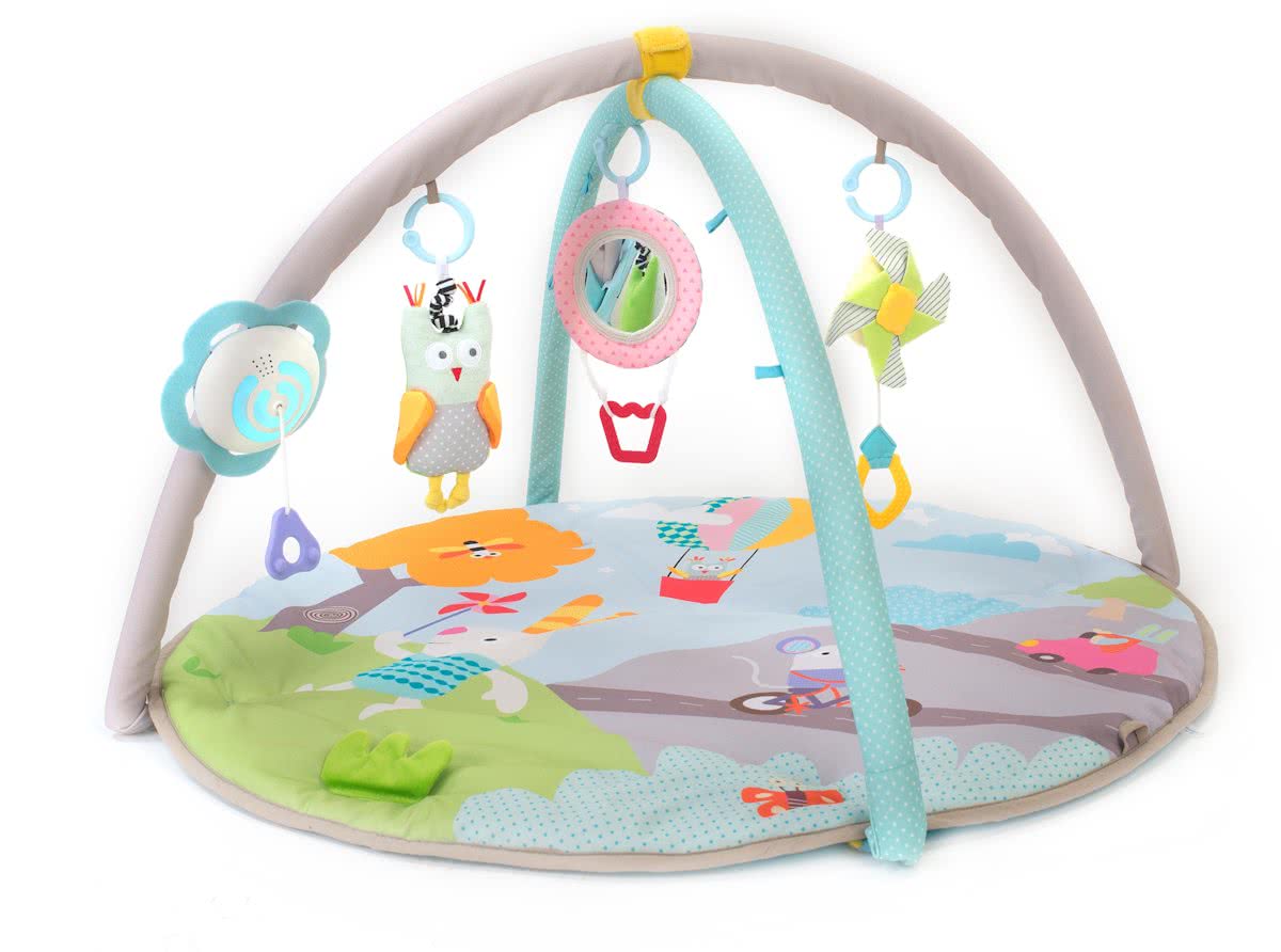 TafToys Musical Nature Baby gym - Speelkleed met licht en geluid