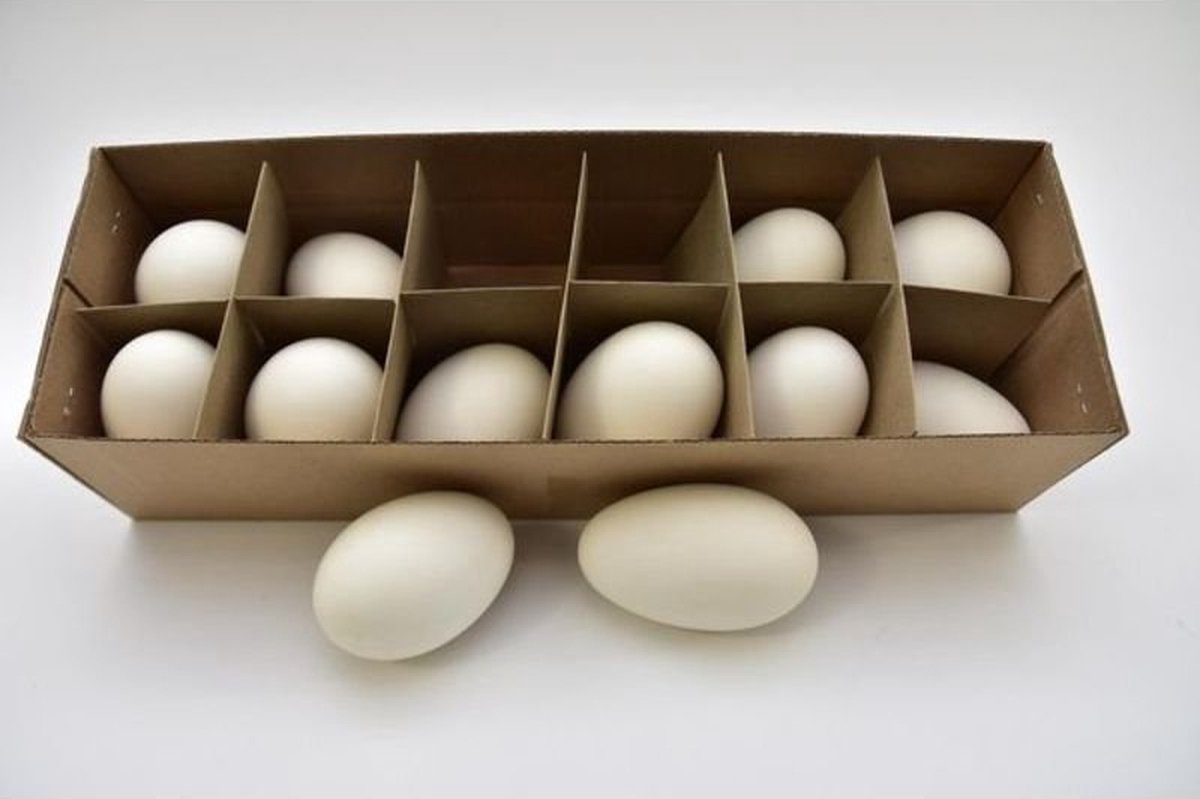 Paasartikelen - Ganzeneieren Wit - 12 Stuks