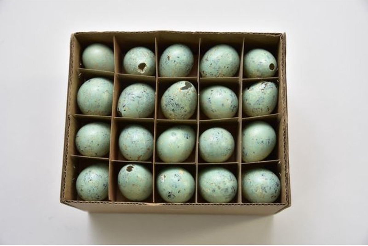 Paasartikelen - Kwarteleieren Turquoise - 60 Stuks