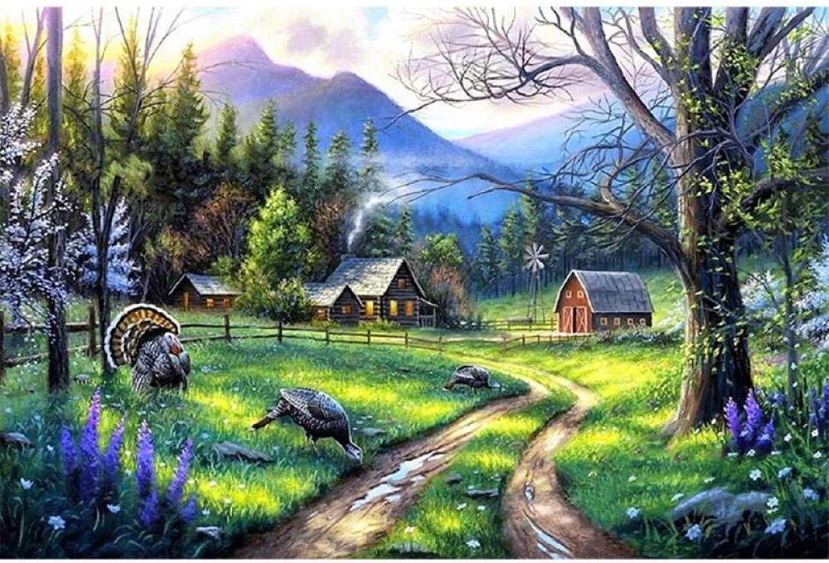 Diamond Painting Volwassenen - Volledig Pakket - 30 x 40cm - Vierkante Steentjes - Diamant Painting - 