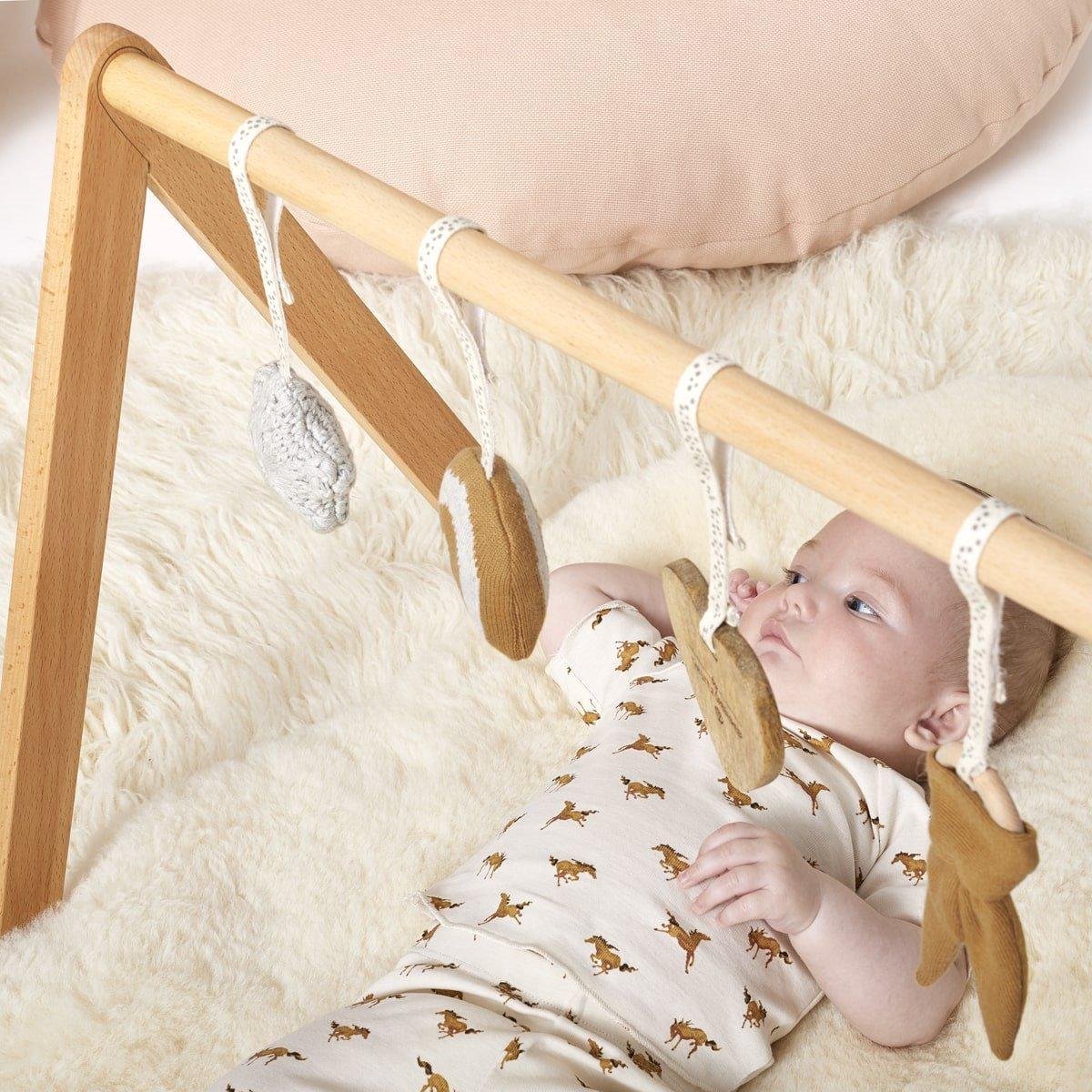 The Little Green Sheep SpeelGym Rainbow Honey