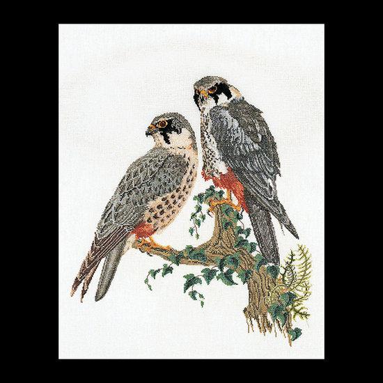 2024A Valken Borduurpakket